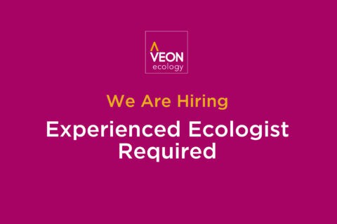 Veon Ecology - Ecologist Required September 2026
